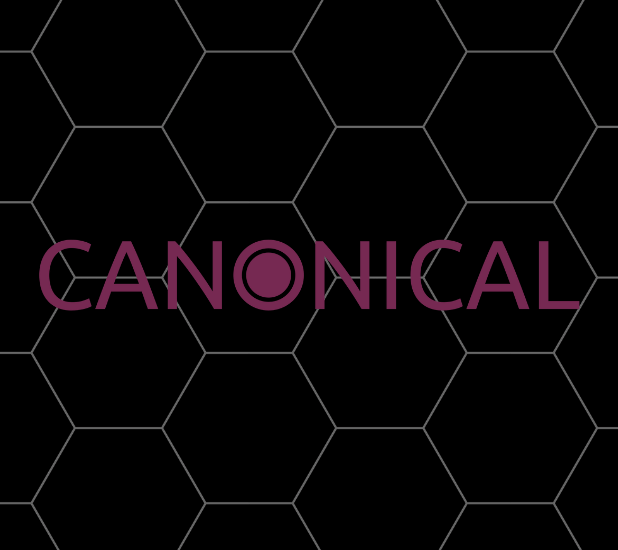 Canonical company logo